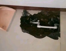梁园卫生间测漏水多少钱